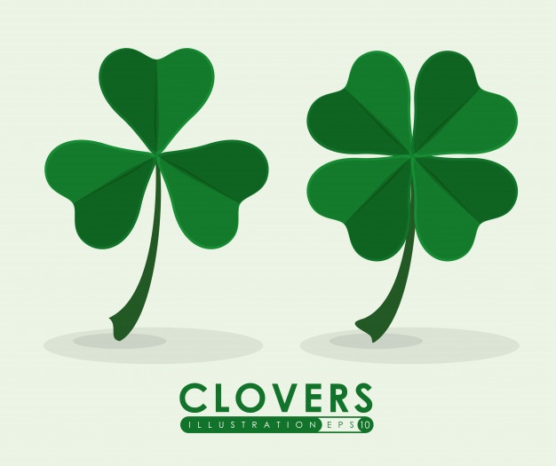 Clover Vectors, Photos And Free Download 626x525 Clover Vectors, Photos And Free Download