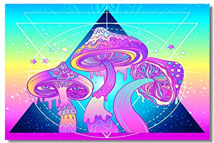 425x284 Poster Psychedelic Trippy Colorful Surreal Abstract