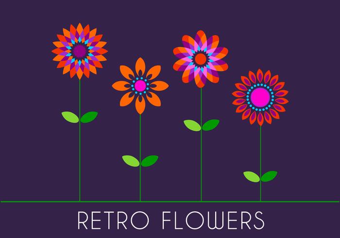 700x490 Retro Flowers