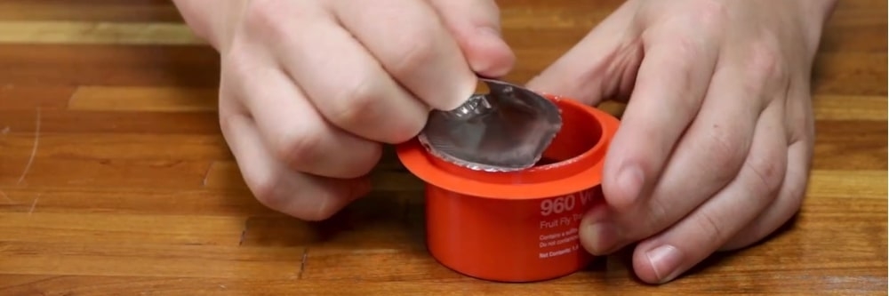 1000x333 Vector Fruit Fly Traps Solutions Pest Lawn