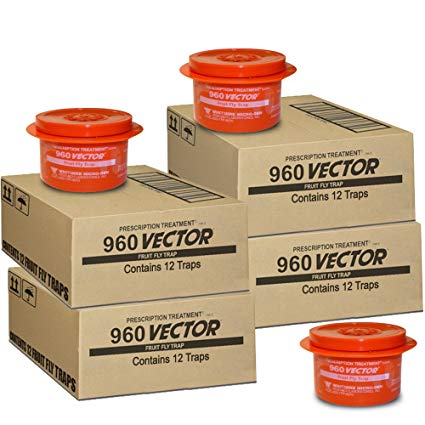 425x425 Vector Fruit Fly Traps