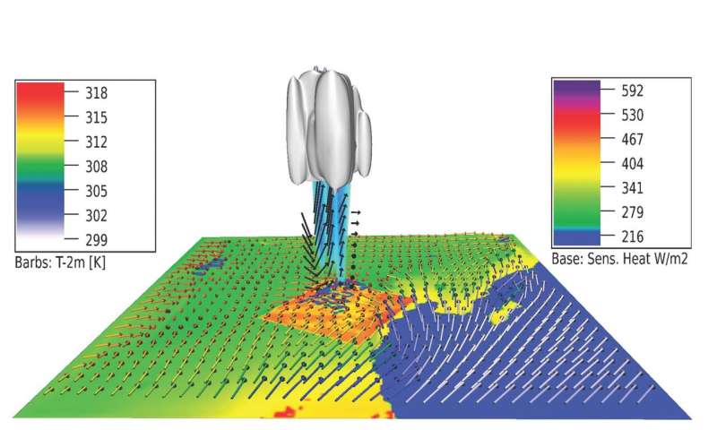 800x480 Desert Plantations Found To Enhance Rainfall