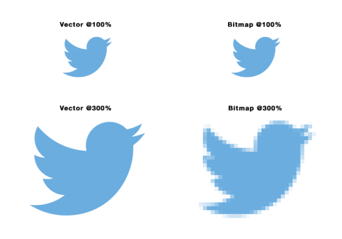 What Are Bitmaps And Vectors 480x336 What Are Bitmaps And Vectors