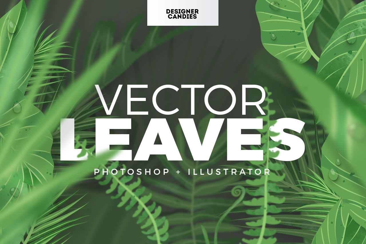1280x853 Vector Leaves Pack