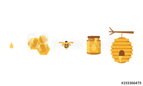 500x300 Miel Abeja Iconos