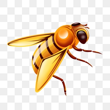 360x360 Vector De Abejas Png, Vectores, E Clipart Para Descarga