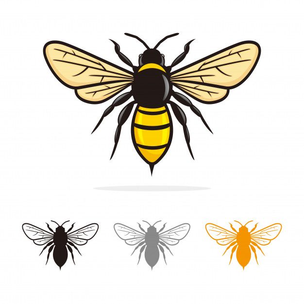 626x626 Abeja Logo Vector Vector Premium Children Art Bee Painting