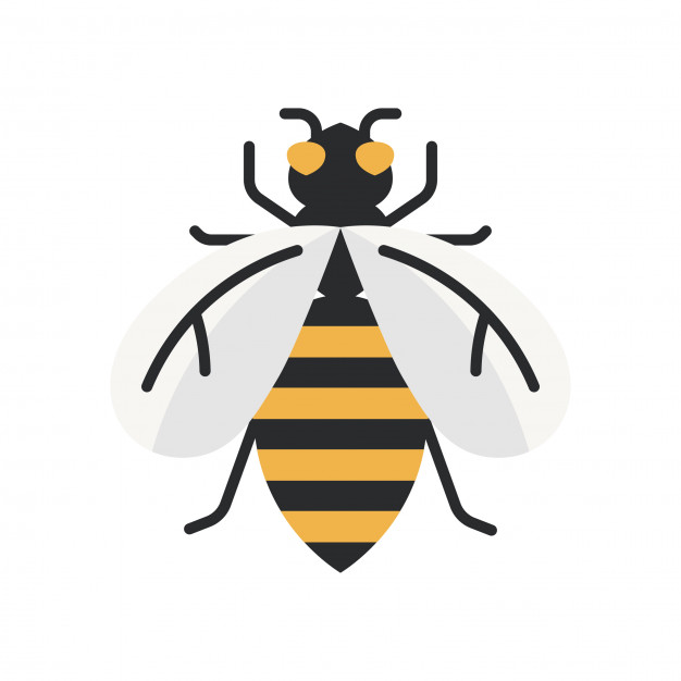 626x626 Abeja Vector Descargar Vectores Premium