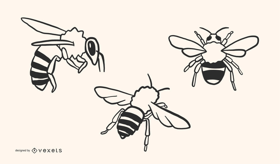 900x529 De Vectores De Abeja Garabato