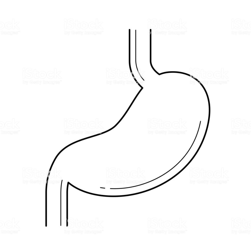 1024x1024 Drawing Stomach Abs Vector Acid Cartoon Books Tattoo Cancer Images