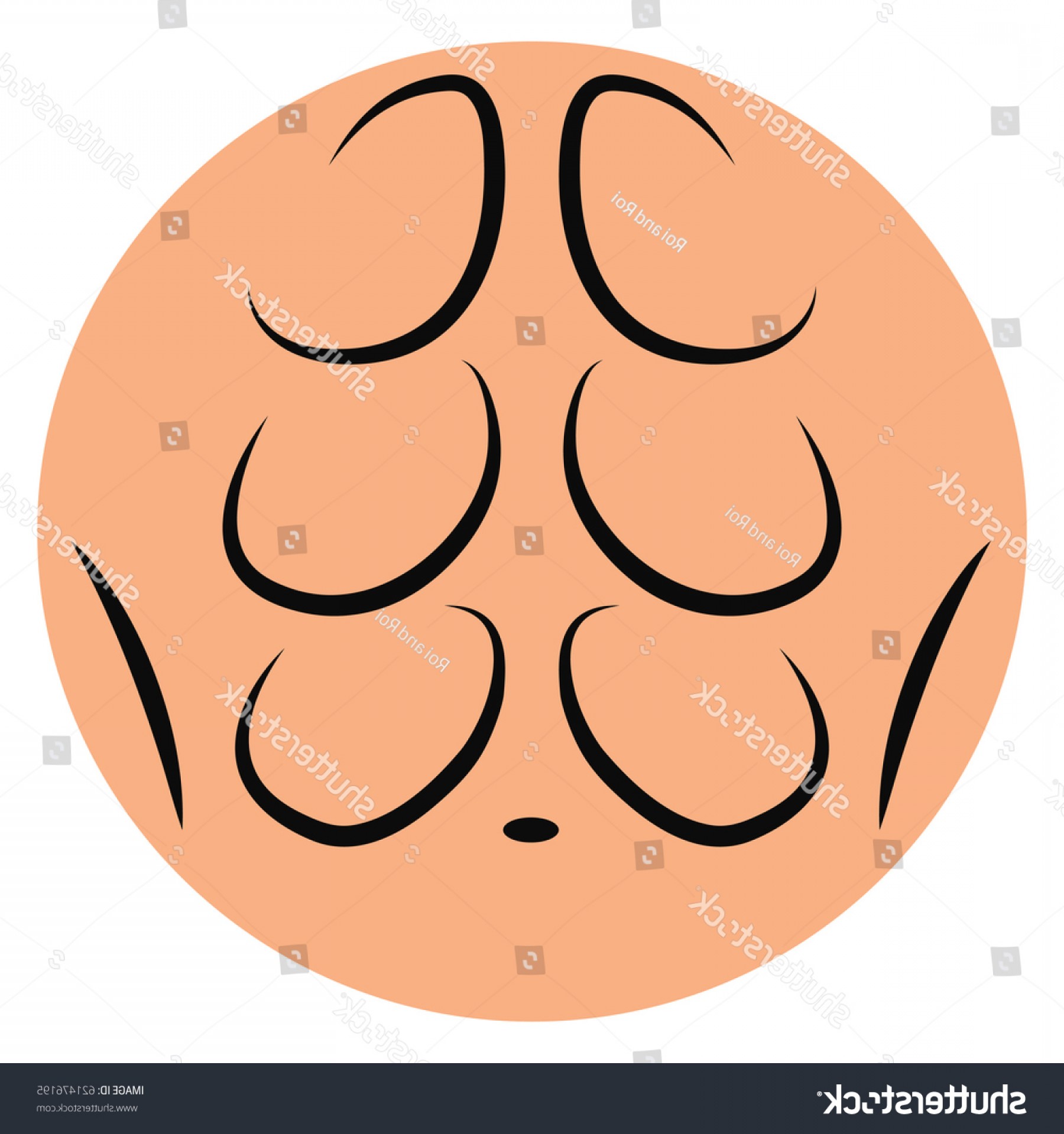 1800x1920 Vector Pack Abs Lamaison