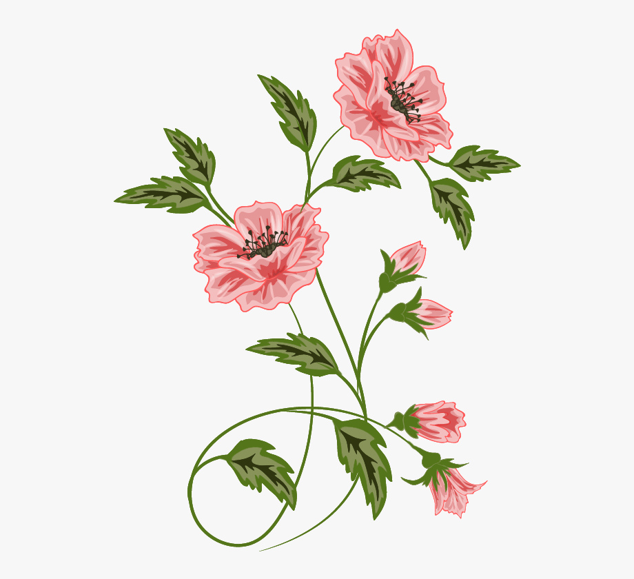 920x840 Abs Vector Floral