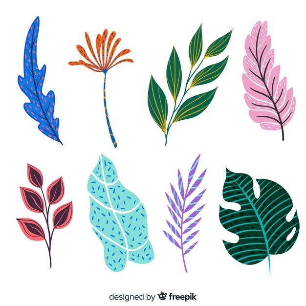 Leaf Abstract Vectors, Photos And Free Download 626x626 Leaf Abstract Vectors, Photos And Free Download