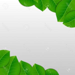 Photostock Vector Nature Green Leaves Vector Abstract Background 300x300 Photostock Vector Nature Green Leaves Vector Abstract Background