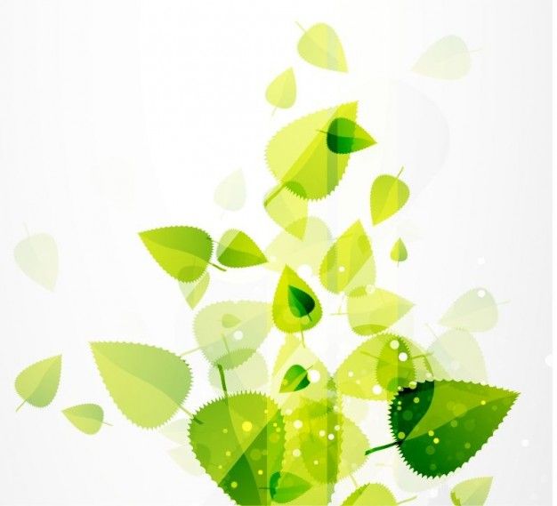 Abstract Green Leaves Vector Background Free Vector Leaves 626x569 Abstract Green Leaves Vector Background Free Vector Leaves