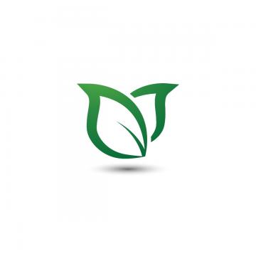 Abstract Leaf Png, Vector, And Clipart With Transparent 360x360 Abstract Leaf Png, Vector, And Clipart With Transparent