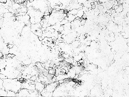 440x330 Free Abstract Vector Textures