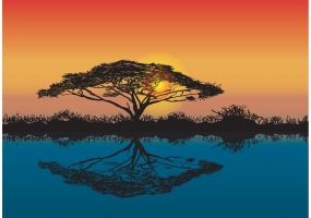 285x200 Acacia Tree Silhouette Free Vector Graphic Art Free Download