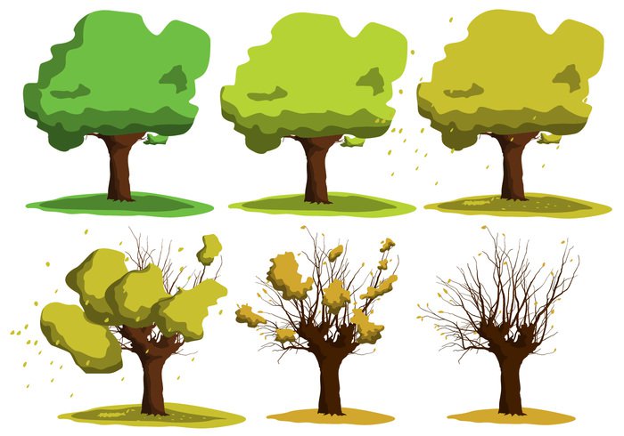 700x490 Growing Acacia Tree Vectors Free Vectors Ui Download