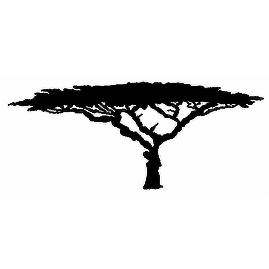 900x900 Acacia Tree Clipart
