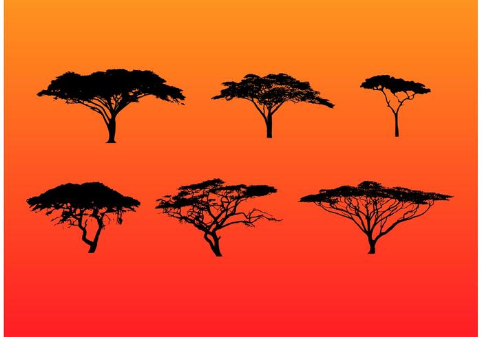 700x490 Silhouetted Acacia Trees Set