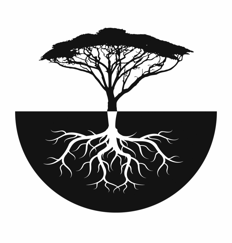 920x960 Acacia Tree Publishing