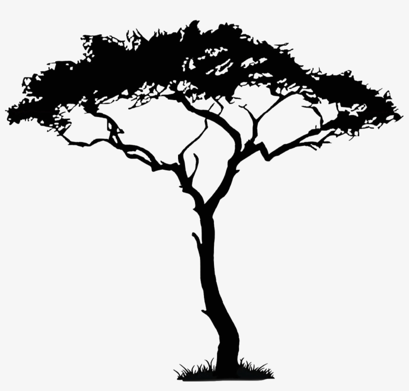 820x785 Acacia Tree Vector