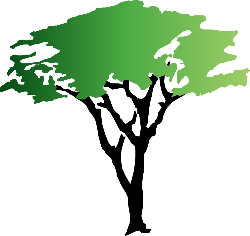 1006x949 Acacia Trees Clipart