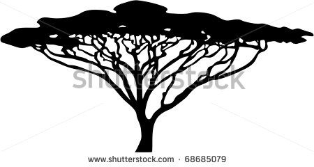 450x240 Acacia Tree Stock Photos, Acacia Tree Stock Photography, Acacia
