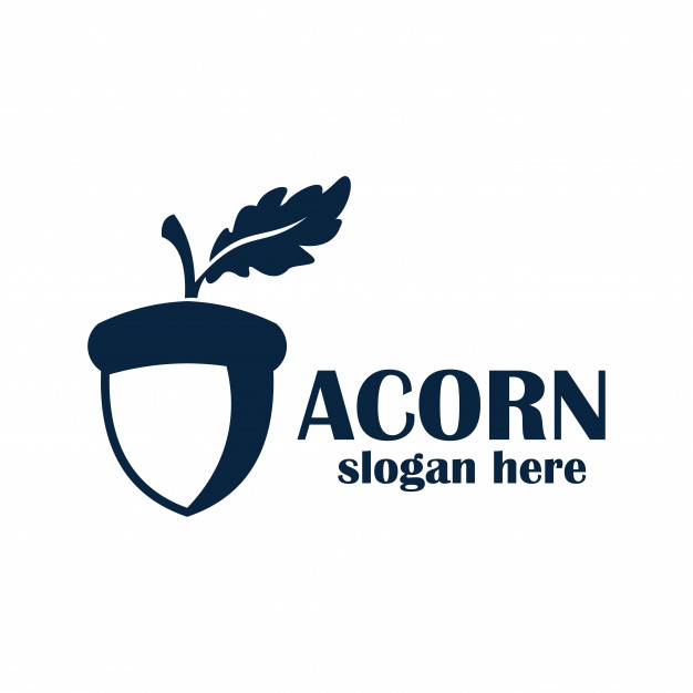626x626 Acorn Logo Vector Premium Download