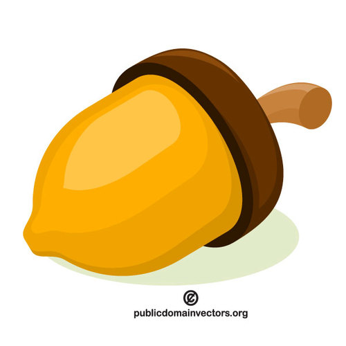 500x500 Acorn Vector Graphics