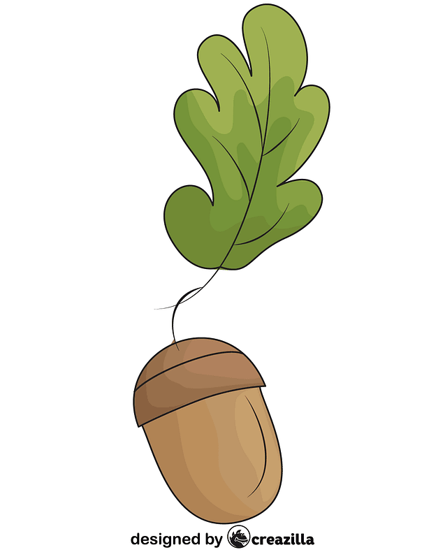 637x800 Oak Leaf And Acorn Vector Free Download Creazilla