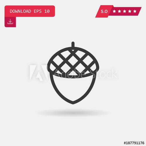 500x500 Acorn Vector Icon
