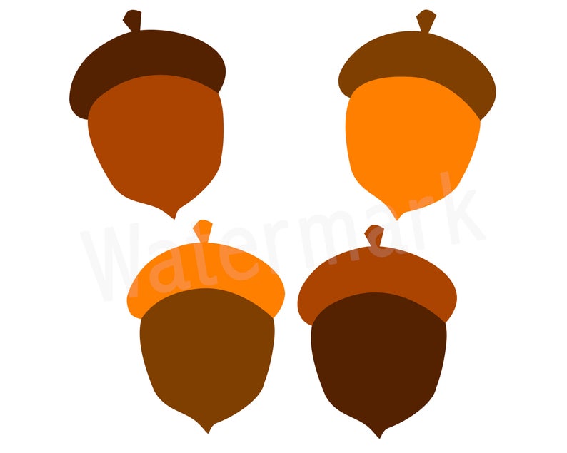 794x635 Acorn Clipart Fall Season Acorn Vector Designs Acorn Etsy