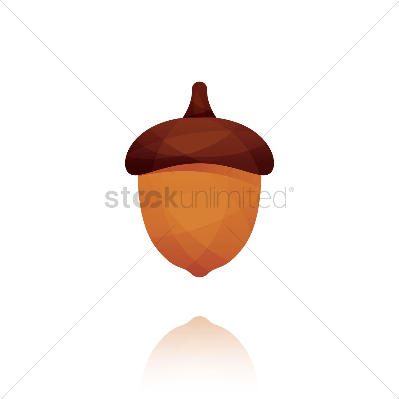1300x1300 Acorn Vector Image