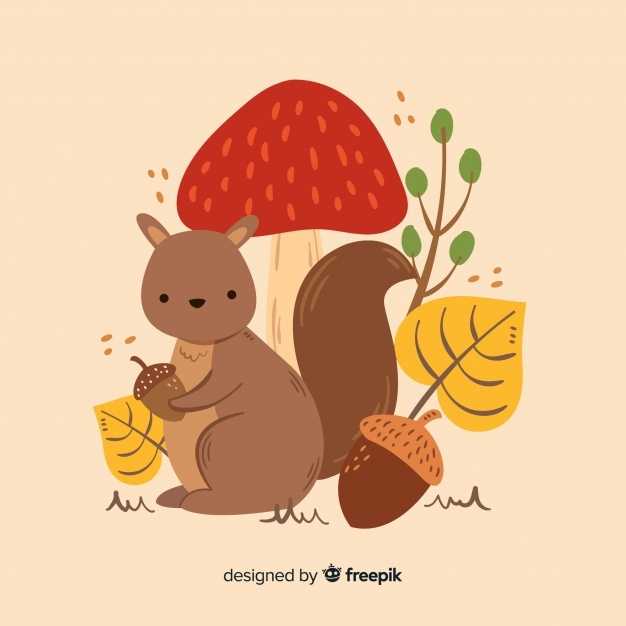 626x626 Acorn Vectors, Photos And Free Download