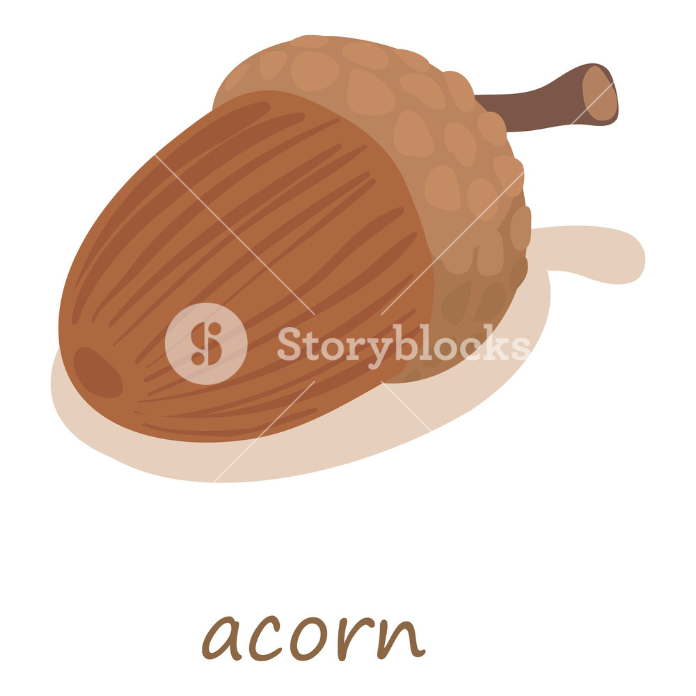 1000x1000 Acorn Icon Isometric Illustration Of Acorn Vector Icon For Web