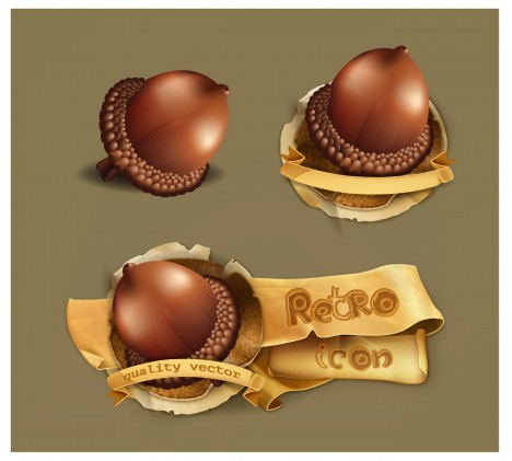468x421 Acorn Vectors Stock In Format For Free Download