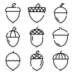 240x240 Acorn Icon Photos, Royalty Free Images, Graphics, Vectors Videos