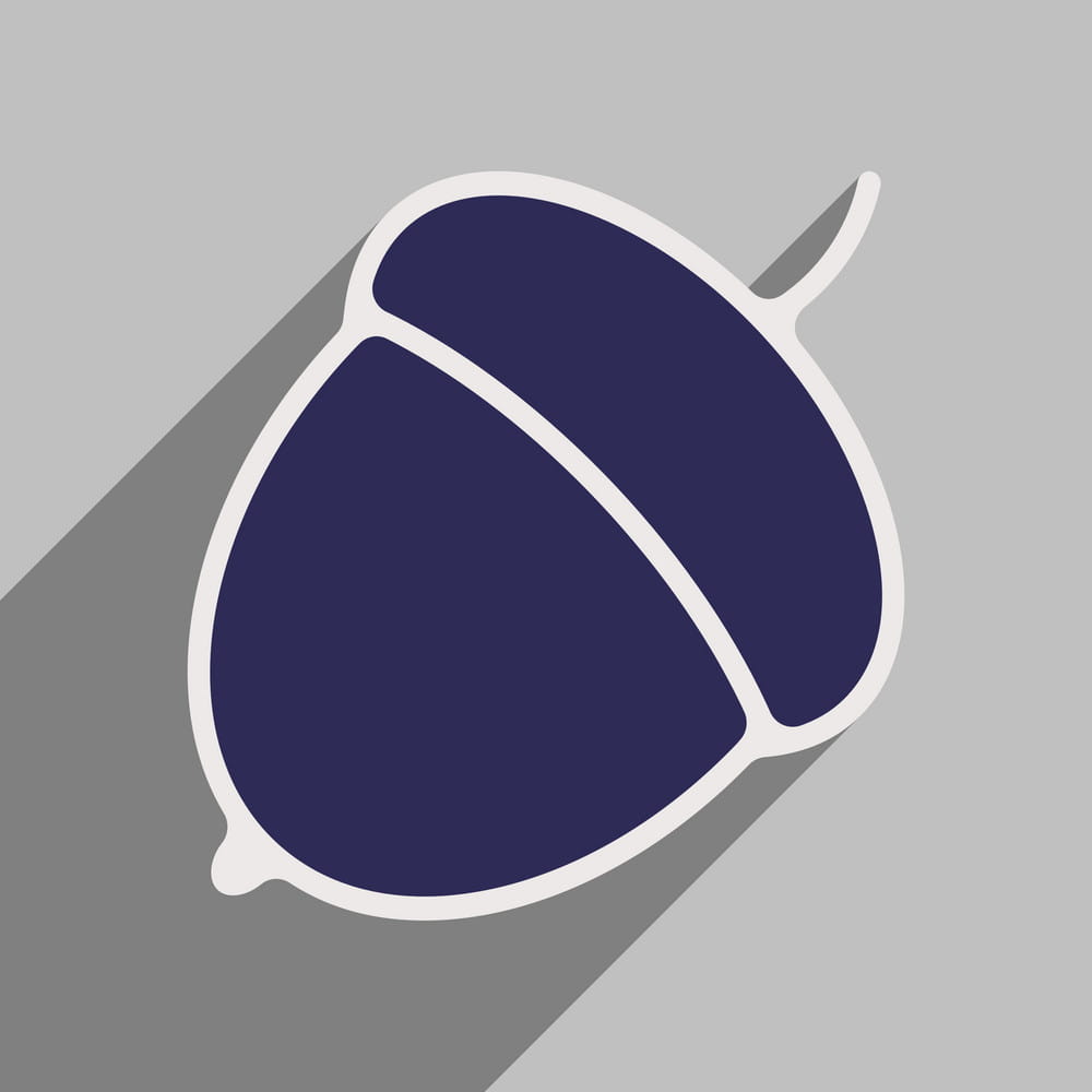 1000x1000 Flat With Shadow Icon And Mobile Application Acorn Vector