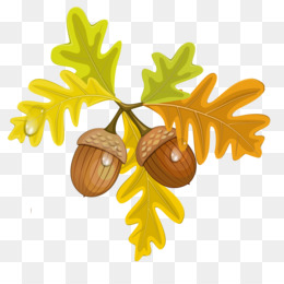 260x260 Fruit Cartoon