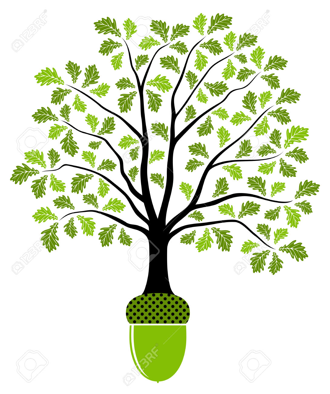 1090x1300 Oak Tree With Acorns Clipart