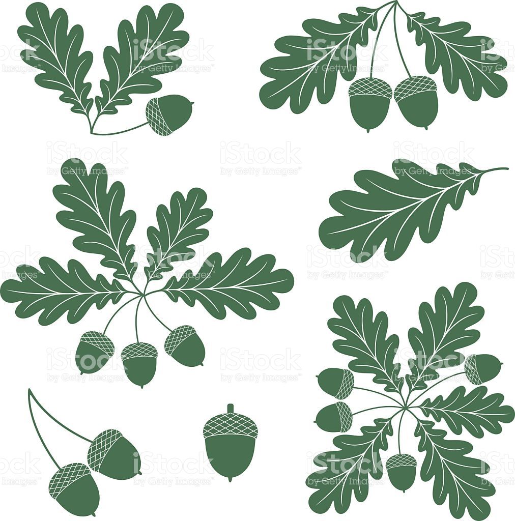 1012x1024 Pin On Sziluett