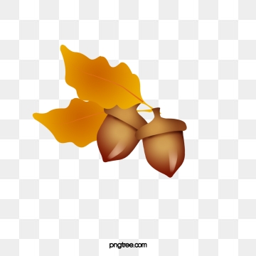 360x360 Acorn Png, Vector, And Clipart With Transparent Background