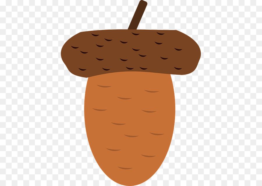 900x640 Acorn Vector Graphics