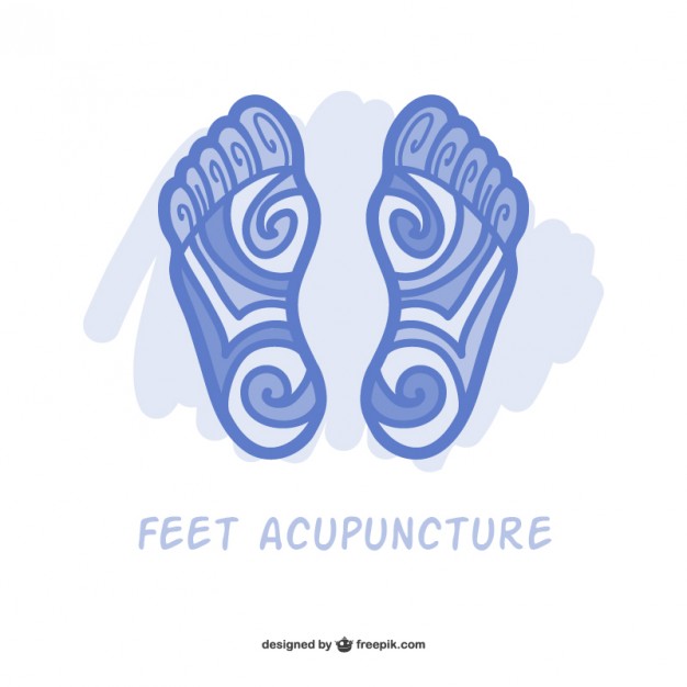 Feet Acupuncture Vector Vector Free Download 626x626 Feet Acupuncture Vector Vector Free Download