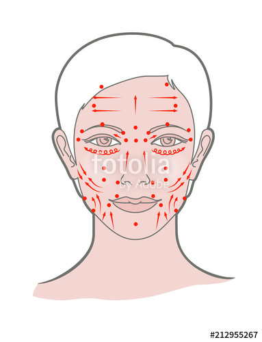 Shiatsu Points Face Massage, Acupuncture Vector Isolated 383x500 Shiatsu Points Face Massage, Acupuncture Vector Isolated