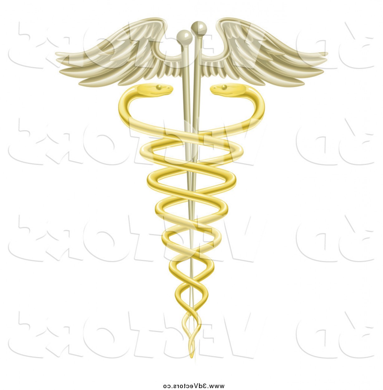 Vector Clipart Of A D Golden Caduceus With Snakes And Acupuncture 1228x1252 Vector Clipart Of A D Golden Caduceus With Snakes And Acupuncture