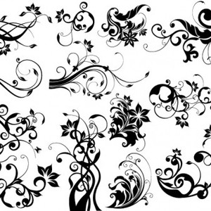 300x300 Free Vector Images