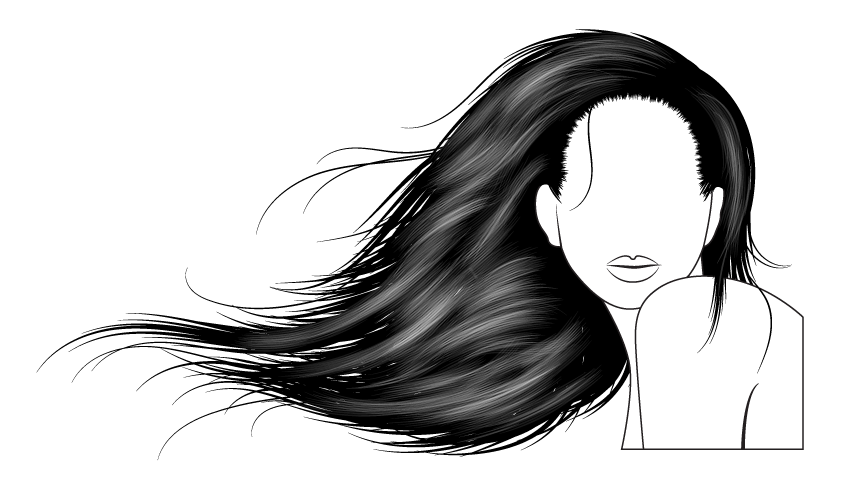 How To Vector Hair With Brushes In Adobe Illustrator 850x483 How To Vector Hair With Brushes In Adobe Illustrator